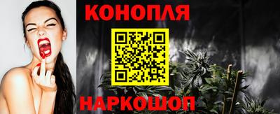 стаф Новозыбков