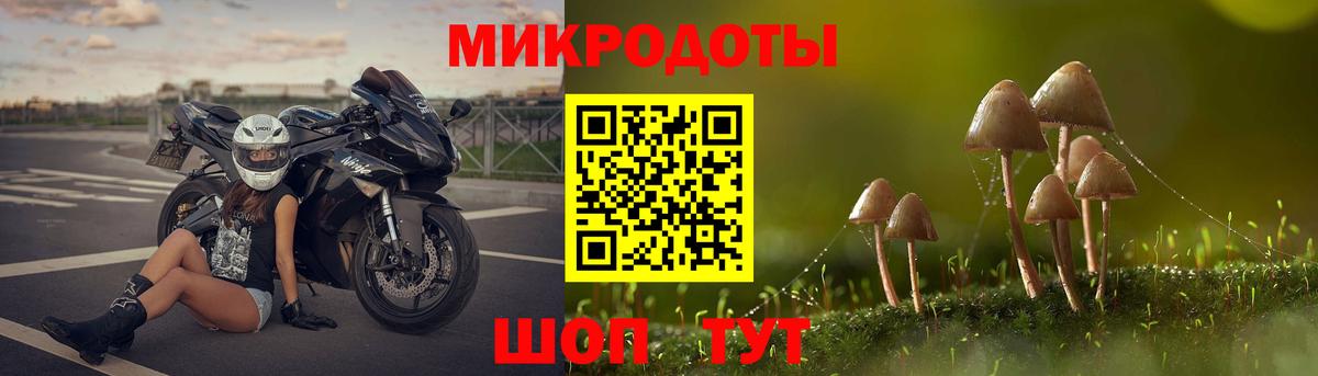 Галлюциногенные грибы Psilocybe Партизанск